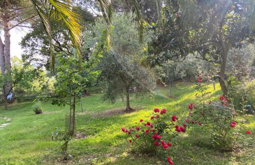 Villa Antonella - Foto 4