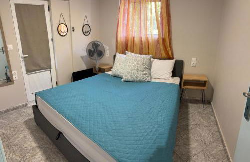 MEIMETIS GREEN HOUSE - Foto 8