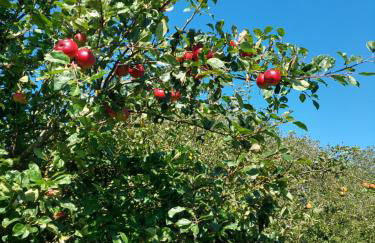 The Cosy Pad Glan Y Morfa Bach - Foto 16