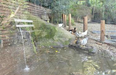 100mts beach Ribeirão da Ilha c Espaço Gourmet - Foto 70