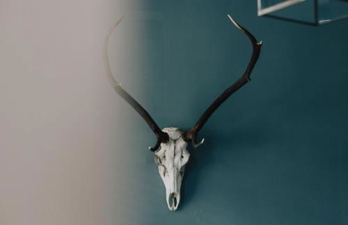 The Wee Shop, Stylish Two Bed Flat in Inverkip Village - Foto 37