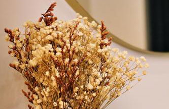 Appartement luxueux avec Jacuzzi privatif - Foto 28