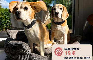 Le 4 Maison de charme proche de la plage wifi - Foto 25