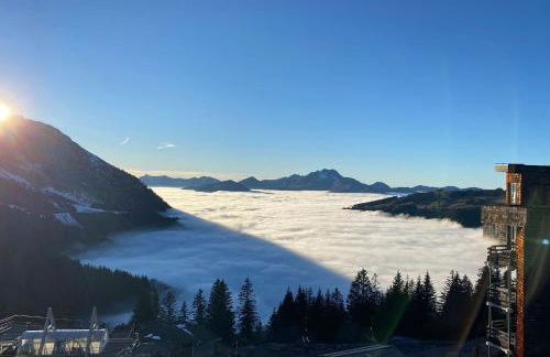 IMMODREAMS - Le Renard - Photo 29