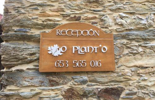 O Plantio - Foto 3