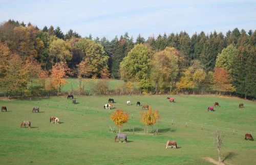 Stöltings Landhaus - Foto 49