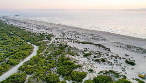 Apartamento acolherdor - Foto 2