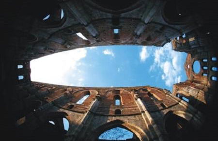 La Fattoria Montalcinello - Foto 37