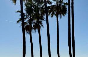 Mon paradis au soleil - Photo 71