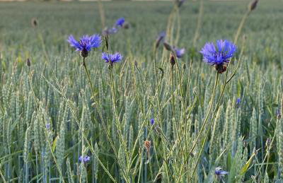 Grudza83 Bikepoint - Foto 22