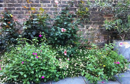 Bright and Elegant 2 Bedroom Flat, near Notting Hill - Foto 25