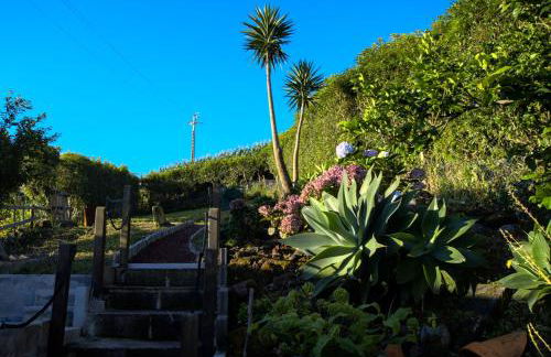 Quinta dos Cinco Sentidos - Photo 6