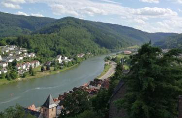 Zauberhafte Wohnung in der Nähe von Heidelberg, top Lage - Foto 35