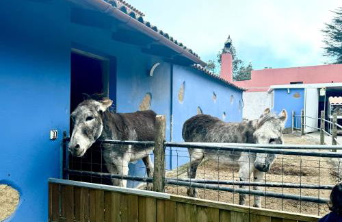 Casa antigua - Foto 30