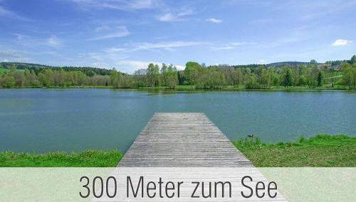 Hütte41: Ganze Hütte nah am See mit privatem Whirlpool, Sauna. Umzäunt. - Foto 3