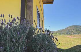 Pousada Renaissance Chalés - Foto 40