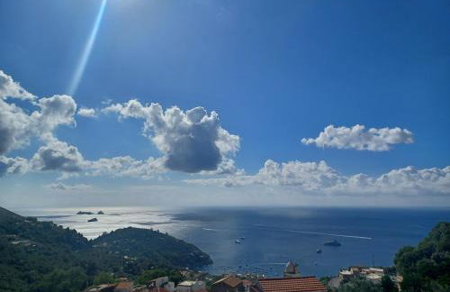 Rosa House - Photo 52