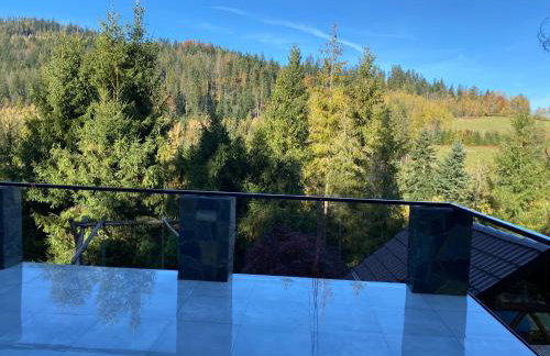 LEŚNE ZACISZE Wisła - Jacuzzi, Bacówka, Niesamowite Widoki - Foto 31