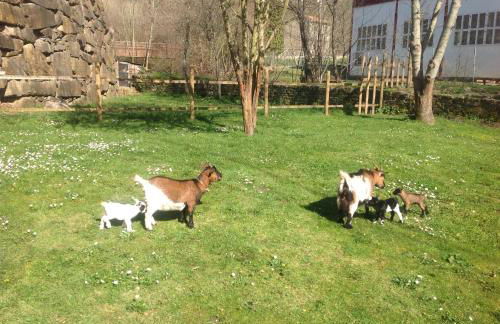 Casas Rurales Prieto - Foto 37