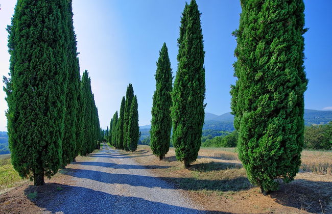 Casale Giulio - Foto 28