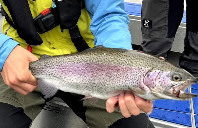 6 Person Holiday Home in Slussfors - Photo 18