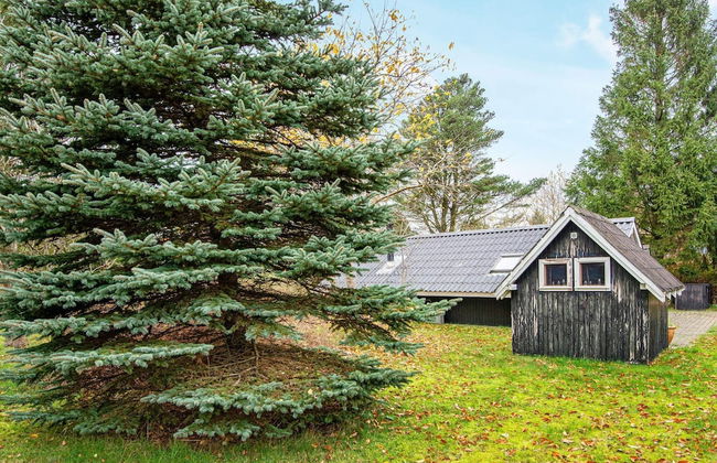 4 Person Holiday Home in Farvang-by Traum - Foto 49