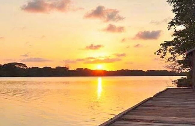 Shores Plantation - Foto 36