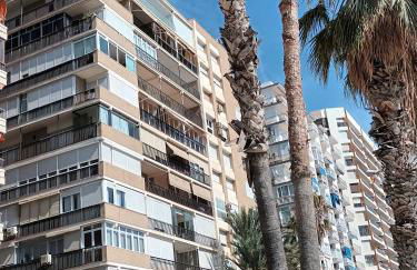 NEW MARITIMO - Photo 22