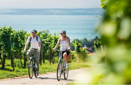 Ferienhaus Creutzig am Bodensee - für Familien und Gruppen - Foto 1