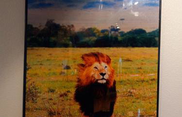 Zoo Town House with Sauna - Foto 44