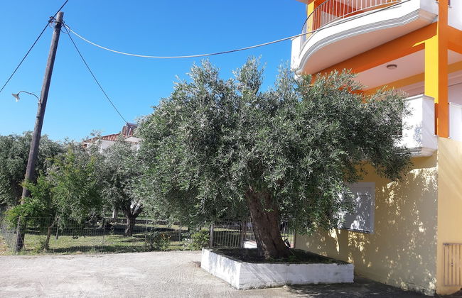 Olive Tree Apartment - Foto 73