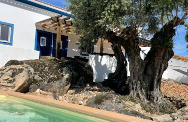 Almojanda 3 olive tree - Foto 9