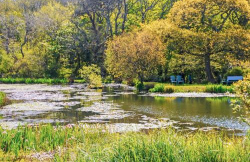 Druidston Old Farmhouse - Foto 32