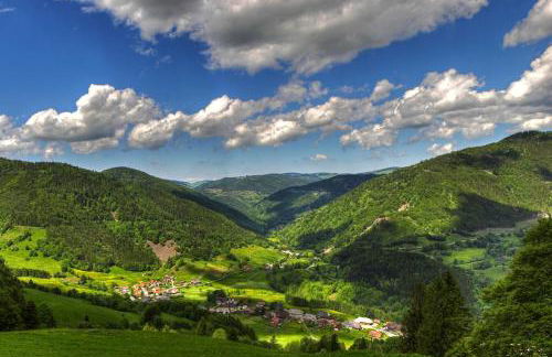 Schwarzwald-Traum mit Pool und Sauna - Foto 18