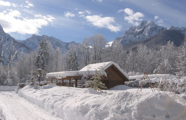 Apartments Jakelj - Foto 23