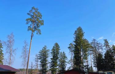 Leśny Zakątek - Domek nad samym jeziorem - Photo 31