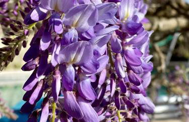 L'annexe du domaine de brisset - Foto 40