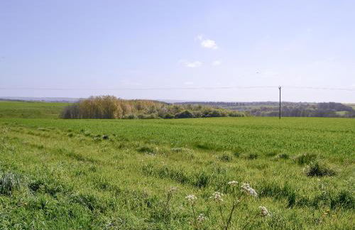 Dale View Barn - Foto 11