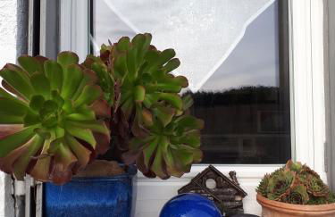 Maison à la Campagne - Foto 46