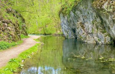 Ferienwohnung am Kappenturm - Foto 16