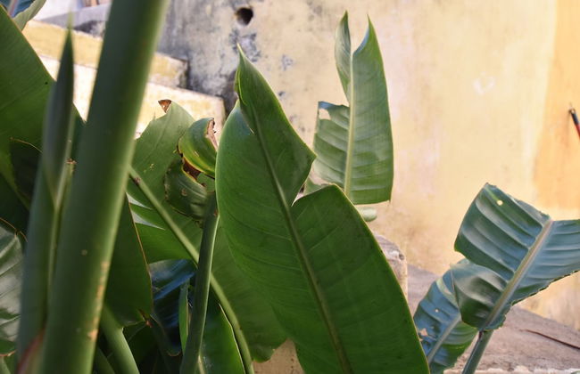 Gato Azul Coliving - Foto 24