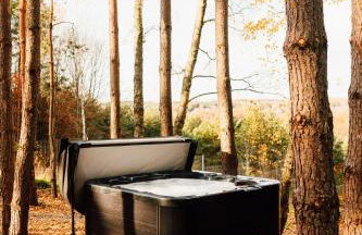 Między Drzewami - Foto 32