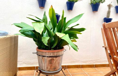 CASA AZUL Mojácar - Foto 41