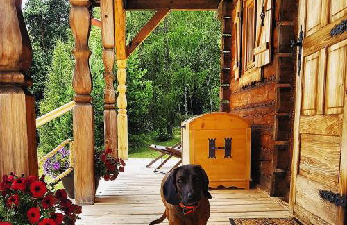 Dom na Kamieńcu - Photo 10