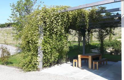 Casa Nalin - Photo 8