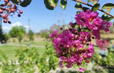 Meteora countryside villa - Foto 70