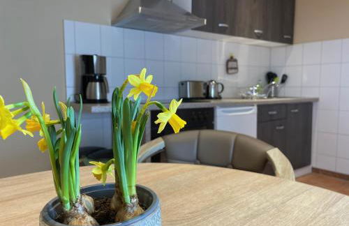 Naturcamp Duvendiek FeWo - Foto 25