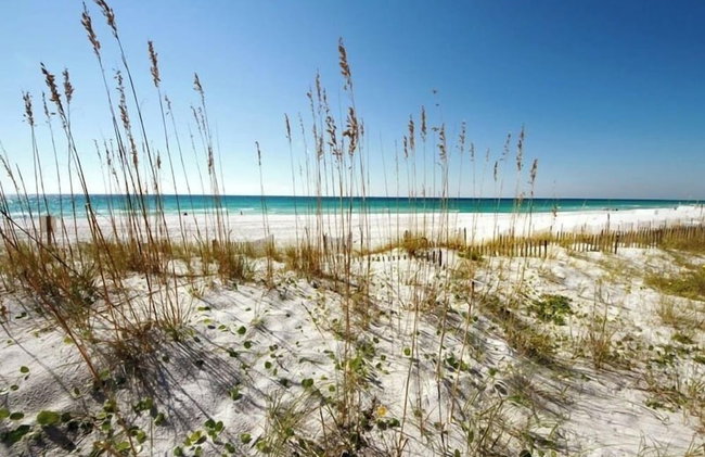 Dune Point #303 by Southern Vacation Rentals - Foto 19