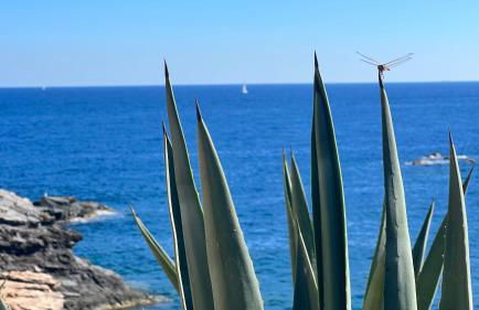 Turquesa del Mar - Charming Ground-Floor Spanish Apartment with Large Sunny Terrace - Foto 26