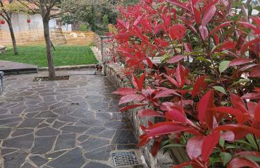 Orminia ground level - Foto 4